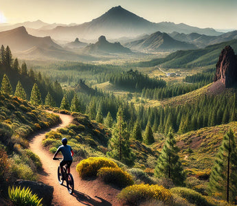 Rutas para salir en bicicleta de montaña en la provincia de Tenerife