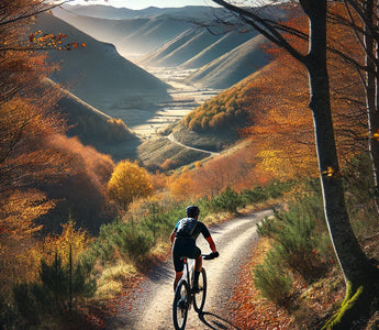 Mejores rutas de bicicleta de montaña en La Rioja para explorar la naturaleza