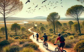 Rutas para salir en bicicleta de montaña en la provincia de Huelva