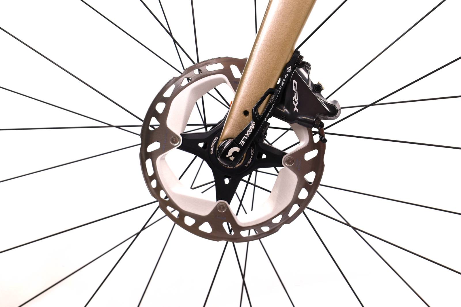 Santa Cruz Stigmata CC