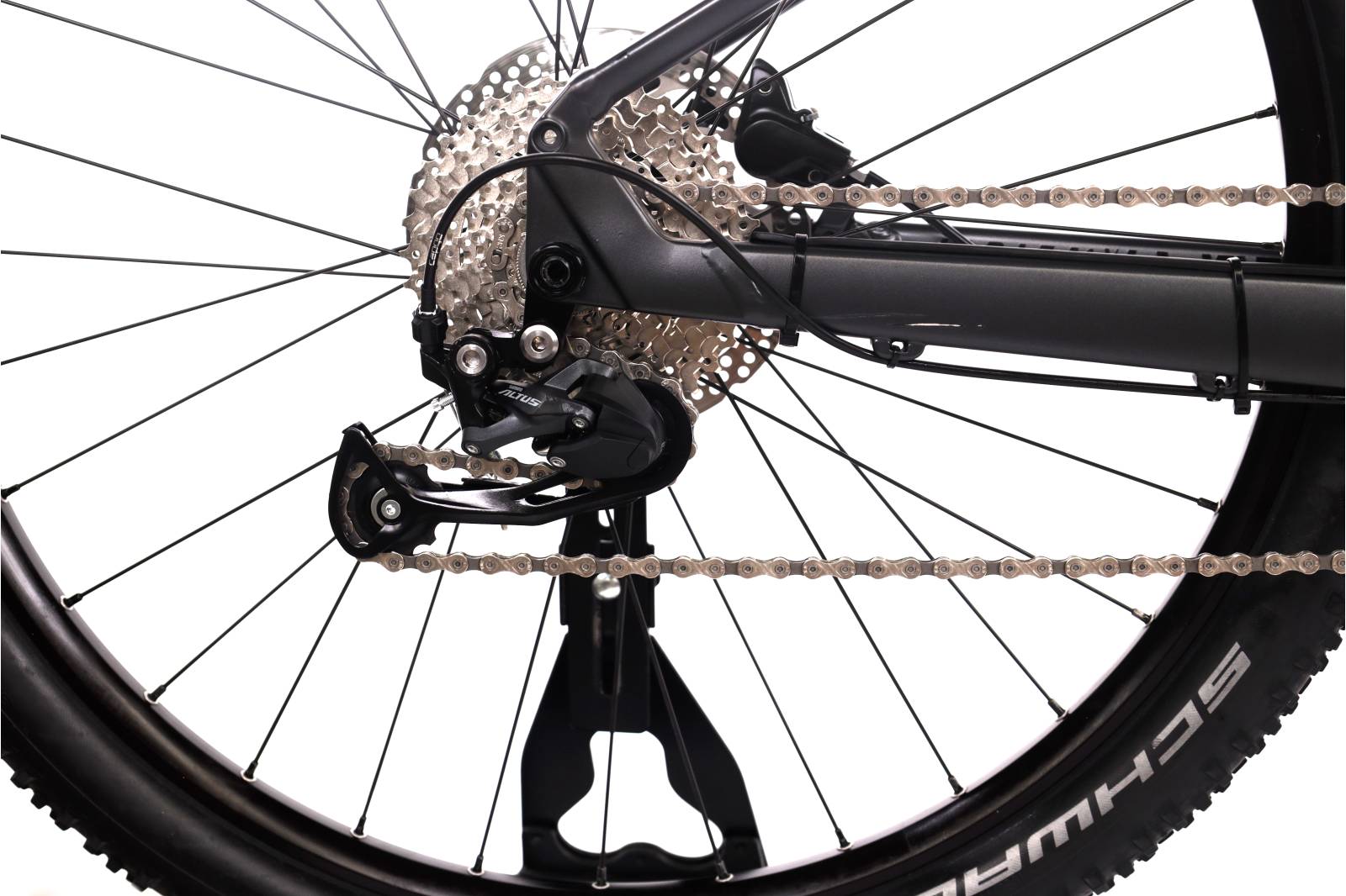 Focus Jarifa² 6.6 Seven