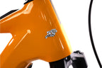 Orbea Wild H20