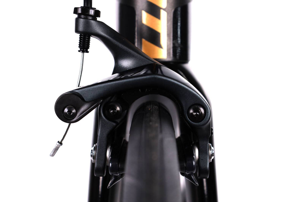 Giant TCR Advanced 1