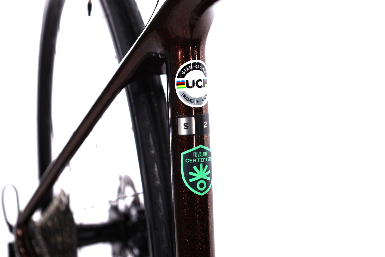 Giant TCR Adavanced 1