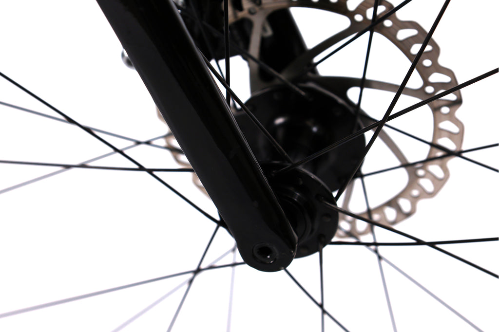 Giant TCR Advanced Disc 2