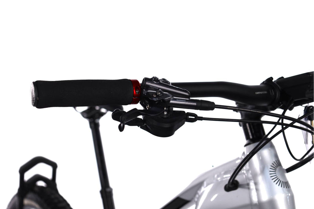 Cannondale Moterra Neo 3