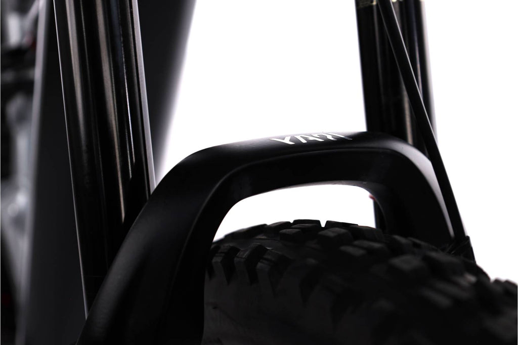 Cannondale Moterra Neo 3