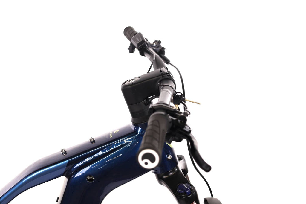 Bergamont E-Revox Premium Sport